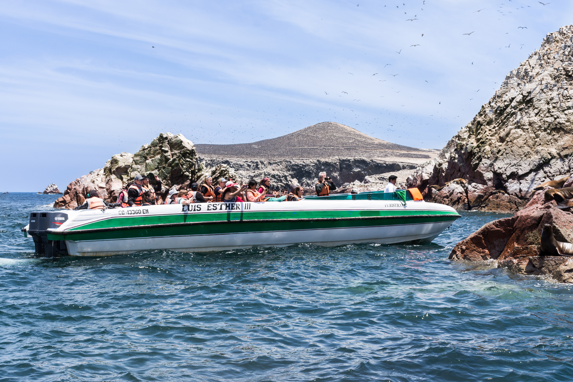 paracas boat tours